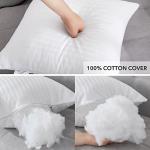 Oubonun Firm Fluffy 20x20 Throw Pillow Inserts