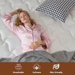 Zentilla 12 Inch Queen Hybrid Mattress with Cooling Gel