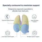 Extra Dense Lumbar Pillow for Back Pain Relief