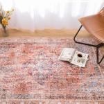 Phantoscope Washable 6'x9' Area Rug - Distressed Boho