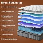 Zentilla 12 Inch Queen Hybrid Mattress with Cooling Gel