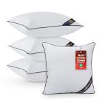 Set of 4 Decorative Throw Pillow Inserts, 18x18