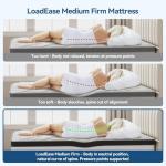 12 Inch Queen Hybrid Mattress for Comfort & Support