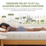 EGOHOME 10-Inch Queen Memory Foam Mattress