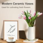 White Ceramic Petit Vase for Dried Pampas Grass