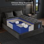 Huwesal 12-Inch Queen Hybrid Mattress with Memory Foam