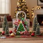 Fixwal Handbag-Shaped Clear Glass Flower Vase