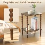 Rustic Brown 2-Tier Side Table with Storage