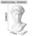 11-Inch David Bust - Classic Greek Home Decor