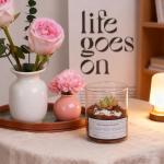 12pcs Small Clear Glass Vases for Centerpieces