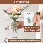 Set of 12 Vintage Mini Glass Flower Vases