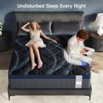 14-Inch Queen Memory Foam Hybrid Mattress