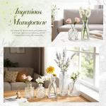 Set of 12 Rustic Glass Bud Vases