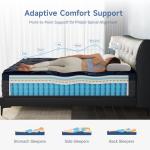 14-Inch Queen Memory Foam Hybrid Mattress