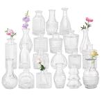 20 Clear Glass Bud Vases for Home or Events