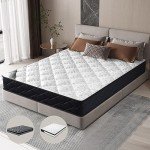 Starry Eucalyptus Double Size Bonnell Spring Mattress