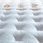 Tegeniss 12 Inch Queen Mattress with Pocket Springs