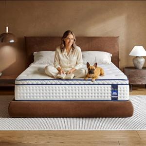 12 Inch Queen Hybrid Mattress with Pocket Springs