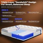 12 Inch Queen Hybrid Mattress with Pocket Springs