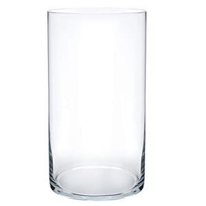 Clear Cylinder Flower Glass Vase, 10" Tall