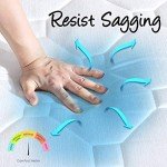 Medium Firm Pocket Spring Queen Mattress – 20CM