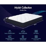 Starry Eucalyptus Double Size Bonnell Spring Mattress