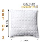 Set of 2 White Fiber Pillow Cushions, 12x12