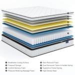 Vesgantti Twin XL 10 Inch Hybrid Mattress