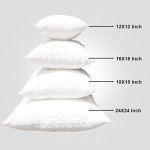 Set of 2 White Fiber Pillow Cushions, 12x12
