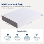 Amazon Basics Memory Foam Mattress, Soft Plush Feel, Breathable, 12 Inch, Queen, White/Grey