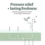 Zinus 8 Inch Queen Green Tea Memory Foam Mattress