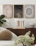 Vintage Wood Tree Rings Wall Art for Home