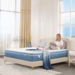 Rimensy 12 Inch Queen Hybrid Mattress in a Box