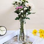 Aoderun 8.7" Clear Modern Glass Flower Vase
