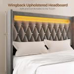 Rolanstar Grey Queen Bed Frame with LED Light