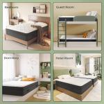 Cooling Hybrid Queen Mattress for Back Pain Relief