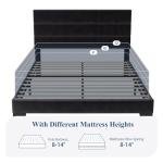 Velvet Upholstered Queen Platform Bed Frame, Black