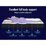 Starry Eucalyptus Double Size Bonnell Spring Mattress