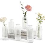 Mini Clear Glass Bud Vases for Flowers