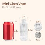 Mini Clear Glass Bud Vases for Flowers