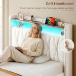 Rolanstar Twin Bed Frame with Storage and LED Lights