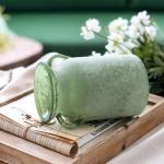 Rustic 8-Inch Glass Flower Vase with Handle