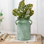 Rustic 8-Inch Glass Flower Vase with Handle