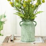 Rustic 8-Inch Glass Flower Vase with Handle