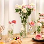 Set of 4 Clear Glass Cylinder Vases