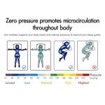 Starry Eucalyptus Double Size Bonnell Spring Mattress