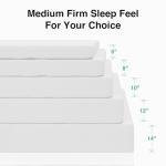Novilla 10-Inch Queen Memory Foam Mattress