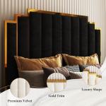 Modern Velvet King Size Bed with Gold Trim