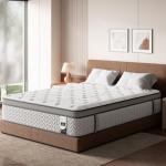 SLEEP100 12-Inch Queen Mattress with Lumbar Support