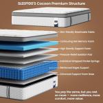 SLEEP100 12-Inch Queen Mattress with Lumbar Support